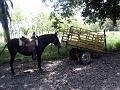 2004-04 Rep dominicaine 072